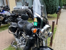 Dragons in the Harz 2025