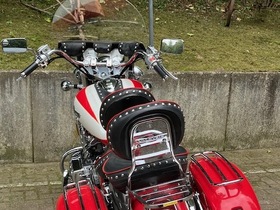 Dragons in the Harz 2025