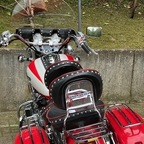 Dragons in the Harz 2025