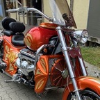 Dragons in the Harz 2025